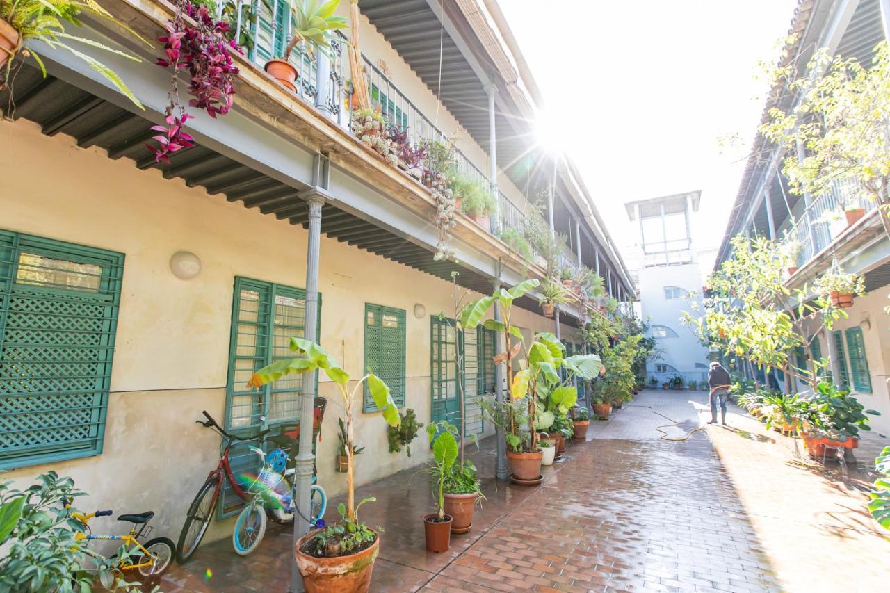 Apartamento 3 Dormitorios En Calle San Vicente. Sevilla Bagian luar foto