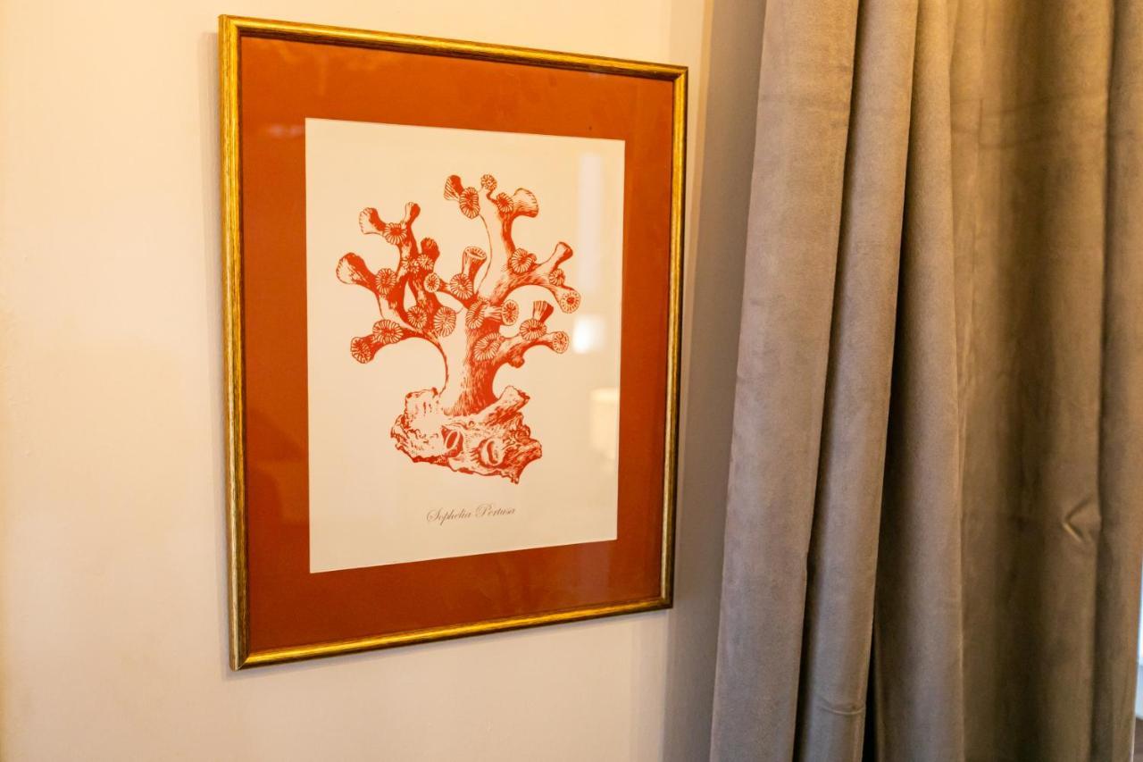 Apartamento 3 Dormitorios En Calle San Vicente. Sevilla Bagian luar foto